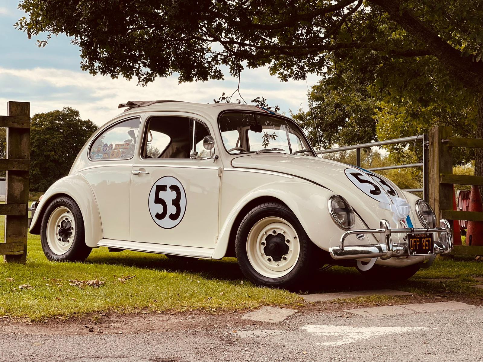 Volkswagen Beetle for weddings and events