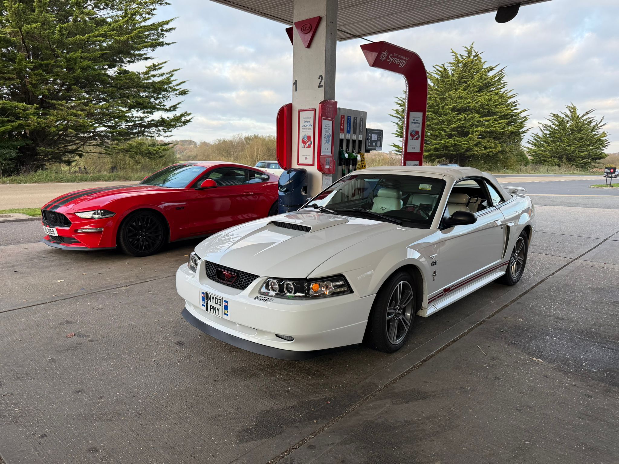 Ford Mustang for weddings and events