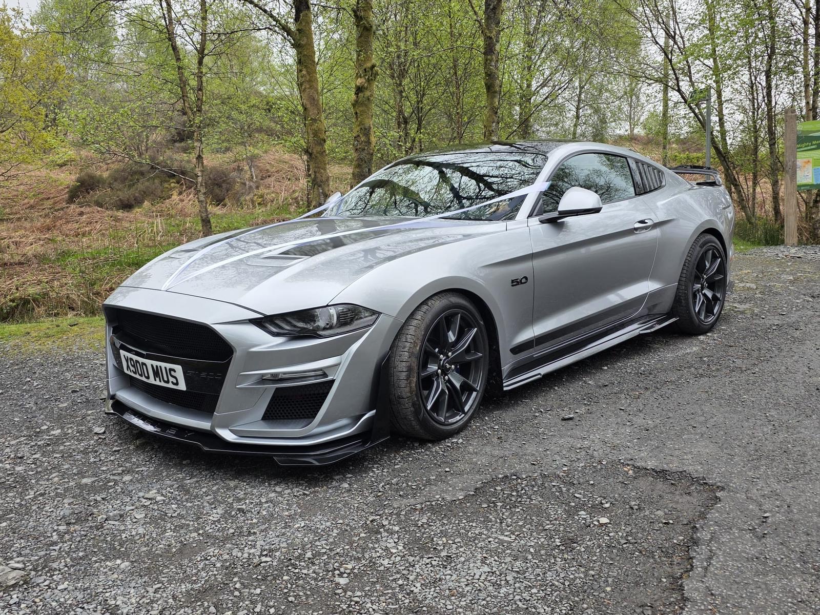 Ford Mustang GT for weddings and events