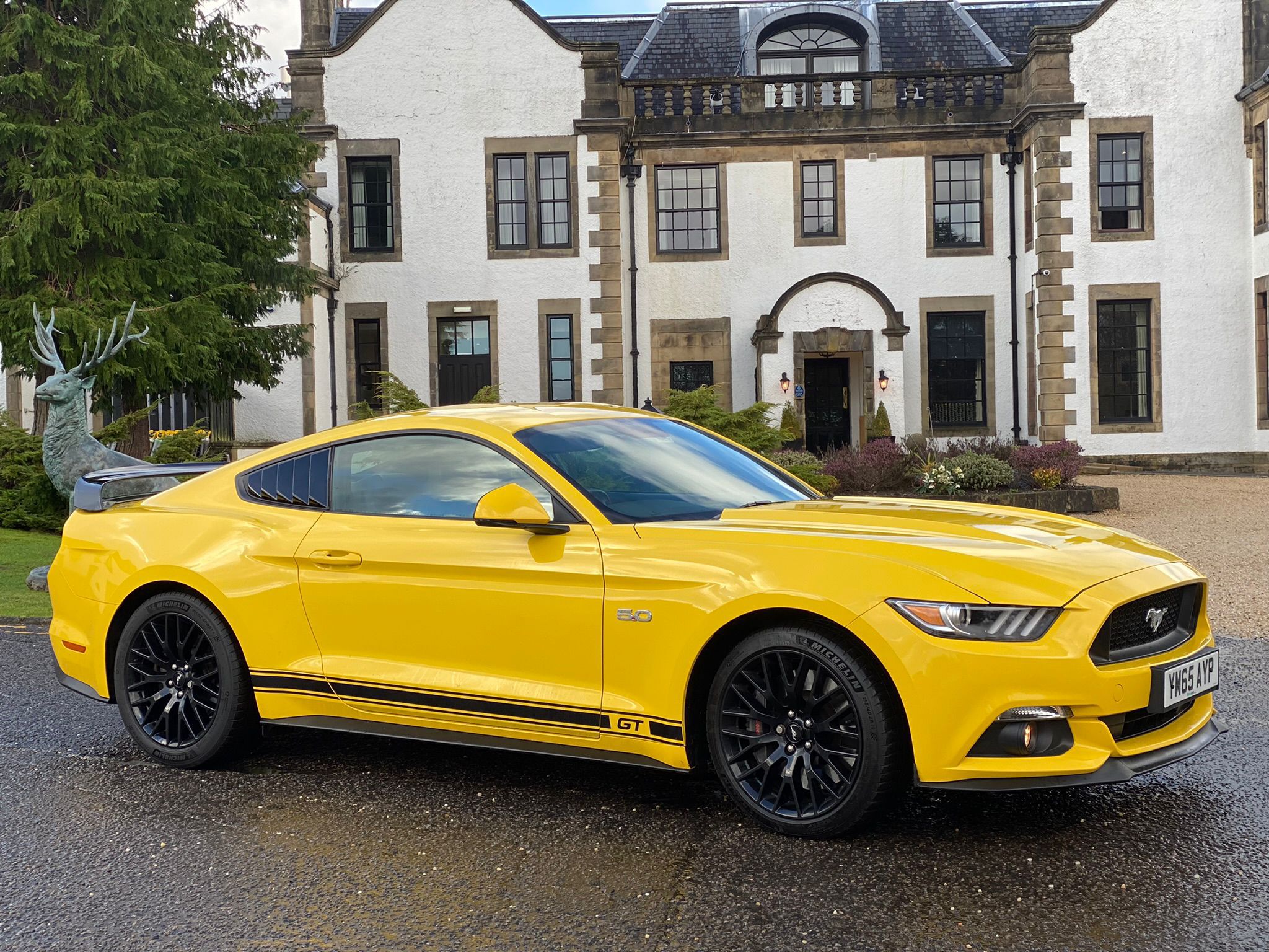Ford Mustang GT for weddings and events